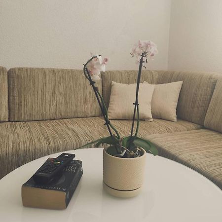 Ajsha Guesthouse 야이체 외부 사진